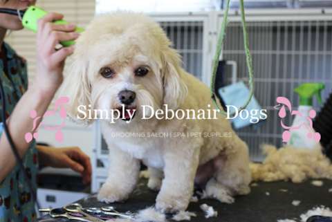 Simply Debonair Dogs photo